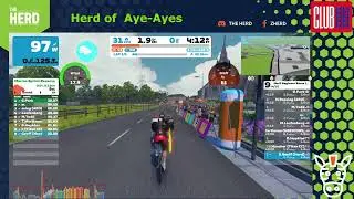 Zwift - HerD Beginner Race - 11th August 2024 - 2pm EST