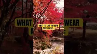 Discover true Fall Colors with our AMP Color-Enhancing lenses 😎 #sunglasses