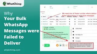 Why your WhatsApp Messages are not getting delivered?