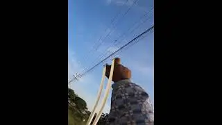 Slingshot Hunting Birds Catch For Birds Recipe  #slingshot #hunting