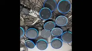 Alexa farts on multiple echos