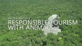On our way to Responsible Tourism