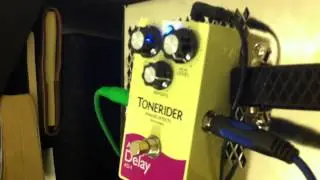 Planet dub (tonerider analog delay) self-oscillation
