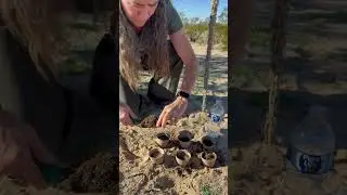 29 Palms Joshua Tree Ceremony  Dec 2025