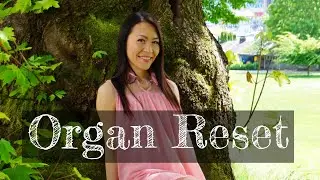 Organ Reset | How to Recharge & Repair Organs by Fascial maneuvers Coach Ikue
