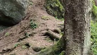 4k - Slovensko, Roháče
