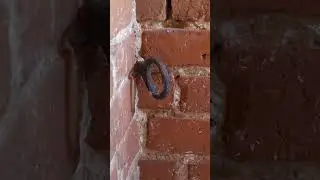 Святые кольца поднимают к богу