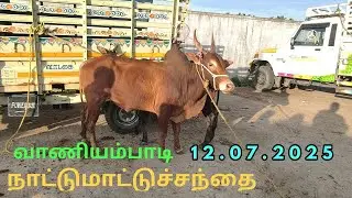 12.07.2025 வாணியம்பாடி நாட்டுமாட்டுசந்தை #nammaoorusanthai #cow #cattlemarket