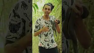 Мыло стоимостью 10 крор???