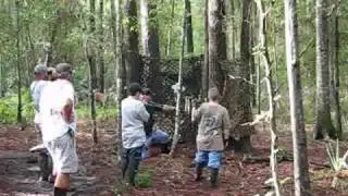 North Florida Archers annual 3D Extreme Archery Shoot