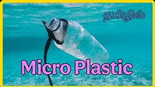 Microplastics: The Silent Ocean Killer 🌊