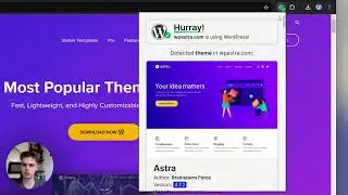 WordPress Theme and Plugin Detector Browser Extension