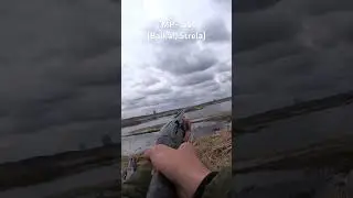 Ружье 12-го калибра MP-155 Байкал Стрела (MP-155, Baikal, Strela) #hunting #охота #топ