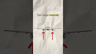 What is Dihedral? How Wing Dihedral Keeps Planes Stable