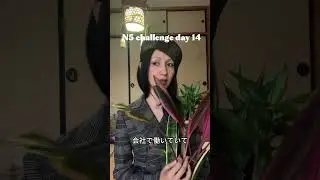 N5 challenge day 14 #jlptn5 #learningjapanese #r日语对话