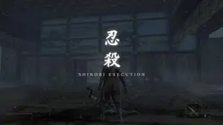 Sekiro - I have no idea how l blagged this