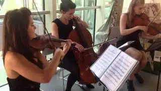 Female String Trio available to hire in London, Surrey and across the UK - Pachelbel's Canon
