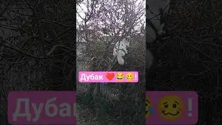 Дубак 😂#юмор #котики #cat #funny #shorts #youtubeshorts #одесса #kids
