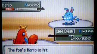 Wifi Battle #43 Yondie [Marriland]