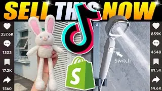 8 Tik Tok Viral Products You Need to dropship in January 2024