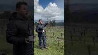 Purple Hands, Haakon Lenai Vineyard Chardonnay with Owner & Winemaker Cody Wright