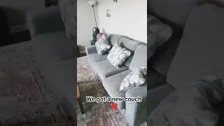 New couch review ❤️😚#foryou #viral #tiktok #newsofa #couchstyle #shorts