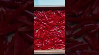 Homemade Paprika 🌶️