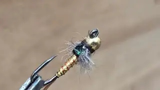 Bronzeback inspired flashy nymph with mylar abdomen