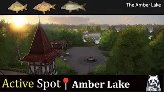 Russian Fishing 4 | Amber Lake Active spot