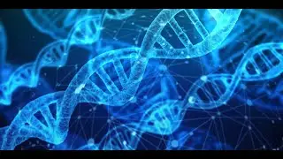 Stem Cell Production Music | DNA Stimulation & Repair | Music for Healing Cells from Toxins | 528Hz