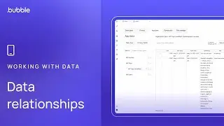 Data relationships (Lesson 3.3)