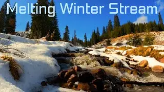Winter Quiet &ndash; Stream in a Melting Winter Landscape (Relaxing Noise & Nature) | 1 Hour