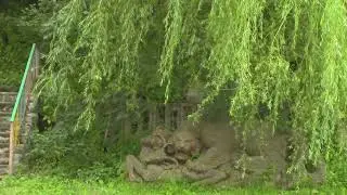 Air, Trees, Water, Animals