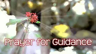 Prayer for Guidance and Direction