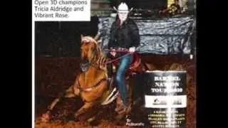 Tricia Aldridge T-R Star Ranch Horse Barrel Racing Training a Year with Hottie!