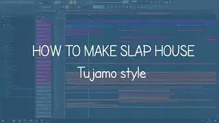 SLAP HOUSE FLP | TUJAMO and VIZE style + FLP, presets