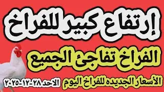 اسعار الفراخ البيضاء اليوم/ سعر الفراخ البيضاء اليوم الاحد ٢٨-١٢-٢٠٢٥ في مصر جمله وقطاعي