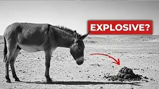 This &ldquo;Revolting&rdquo; British Weapon Terrified Nazi Bomb Squads (Watch Till End!)