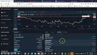 How to make money with Interest Swap Rates  - Sept 08