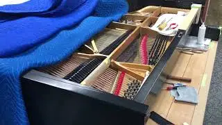 Steinway B with Renner Premium Blue Hammers