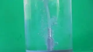 Stainless Steel Ozone Bubbler in action