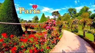 [4K UHD ] Paris France - Walking Tour in PARIS - Parc Bagatelle - la Roseraie