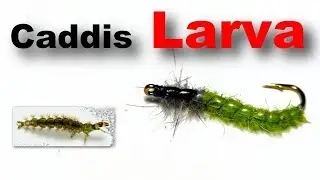 Best Caddis Larva Nymph Fly Tying for Trout and Grayling