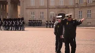 Amalienborg Castle and Guards, Copenhagen - Italy