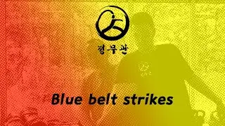 CMK Intermediate: Gwonbeop: Blue Belt Strikes