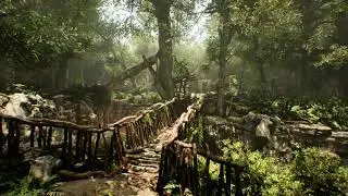Forest Ruins