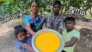 இதுதான் சீசன் உடனே செஞ்சிப்பாருங்கள் பாரம்பரிய  பனம்பழம் ஜாம்  /  PALM FRUIT JAM,
