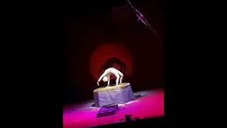 contorsionismo