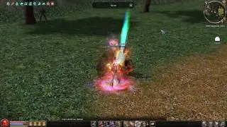 Metin2 Duel (HD 720p)