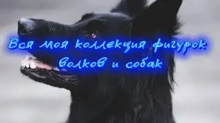 Вся моя коллекция фигурок волков и собак 